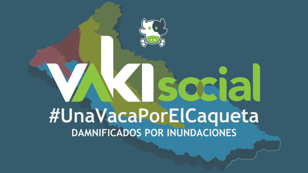 Vaki Social, Una vaca por el Caquetá. Damnificados por inundaciones